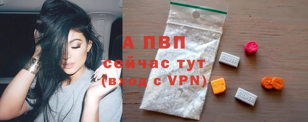 гашик Алексеевка