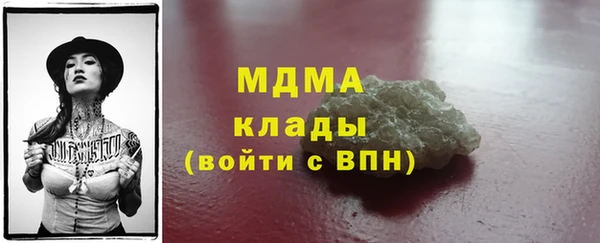 индика Алзамай