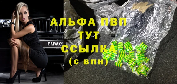 дживик Абаза
