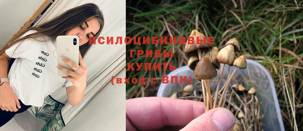 индика Алзамай
