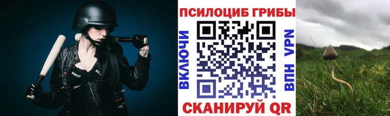 Псилоцибиновые грибы Psilocybe Агидель