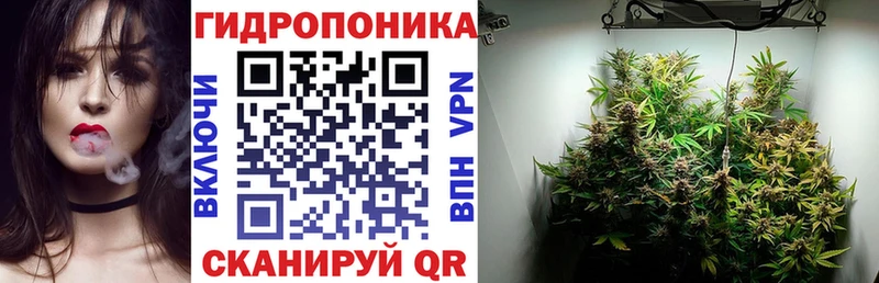 закладки  Агидель  Бошки марихуана Ganja 